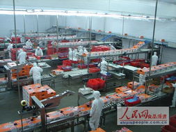 雙匯發(fā)展戰(zhàn)略解讀 質(zhì)量先行抵住成本壓力，今年銷售目標(biāo)劍指360億